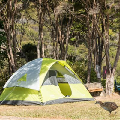 Camping, caravan and campervan sites Russell Orongo Bay Holiday Park