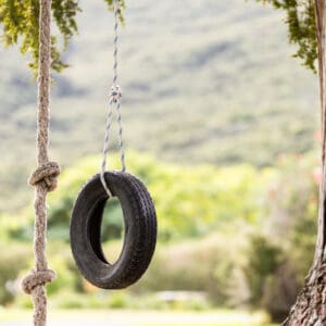 Tyre Swing Russell Orongo Bay Holiday Park