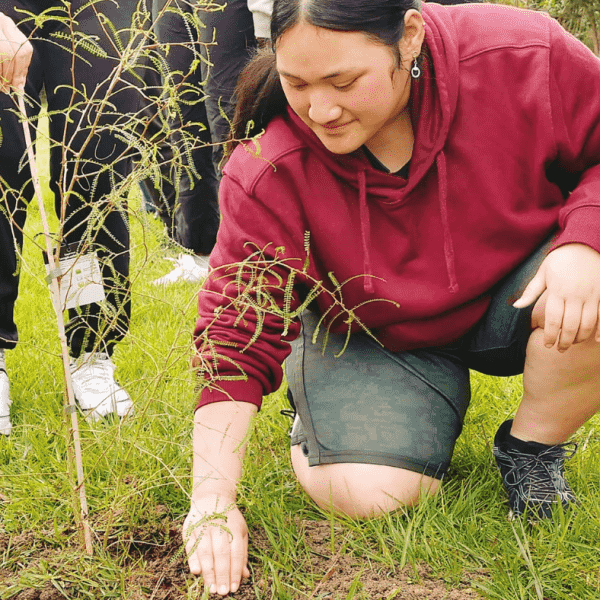 Plant a Tree, Russell-Orongo Bay Holiday Park