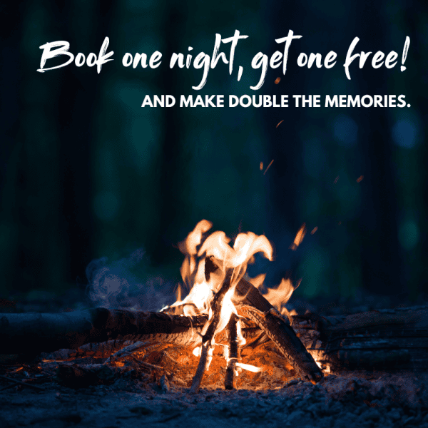 Buy one night, get one free!